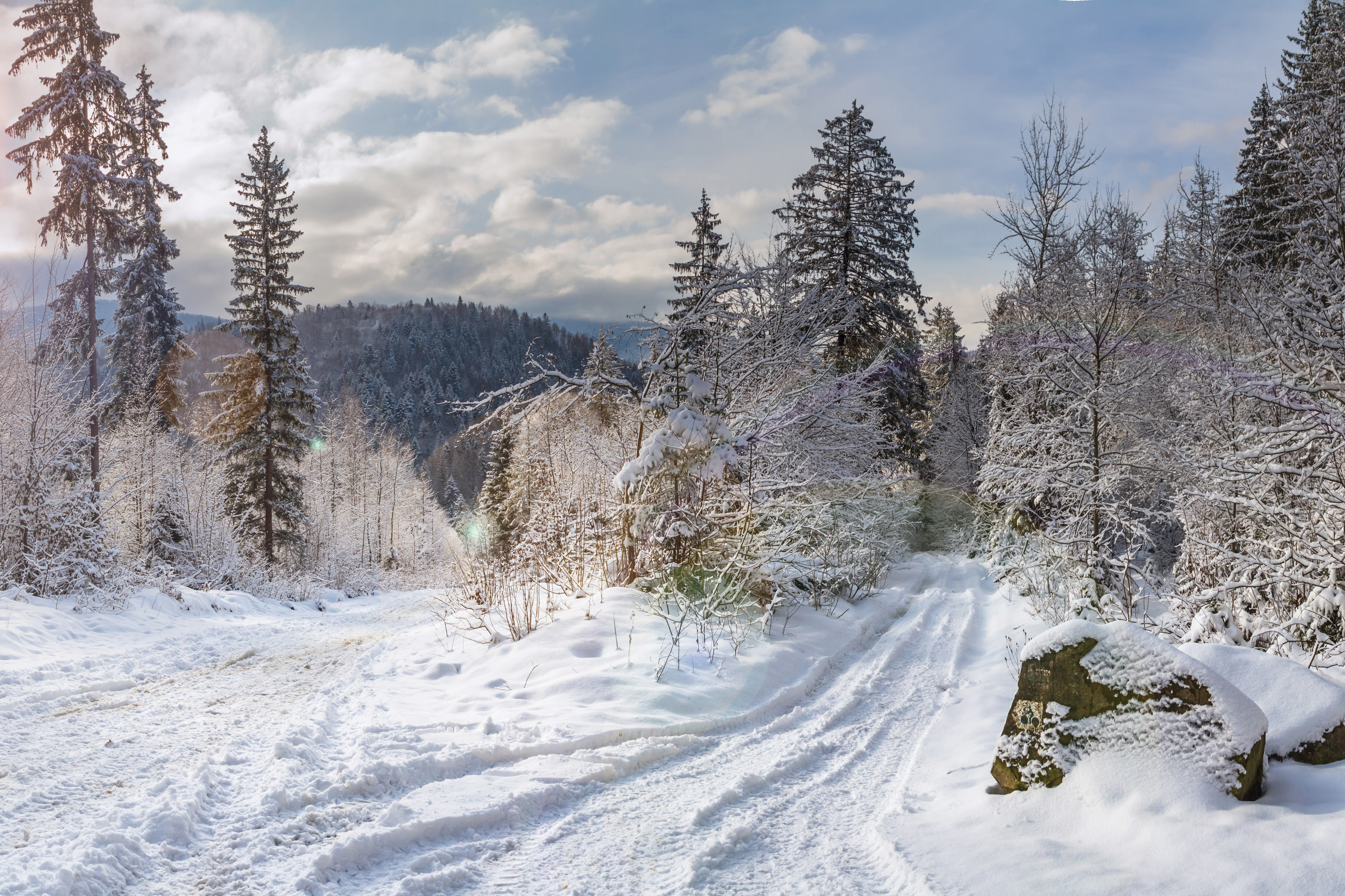 Auf einem gesperrten und verschneiten Forstweg haben sich drei Autofahrer festgefahren. 