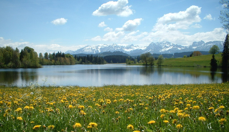 Der Schwaltenweiher in Bayern, © Südliches Allgäu