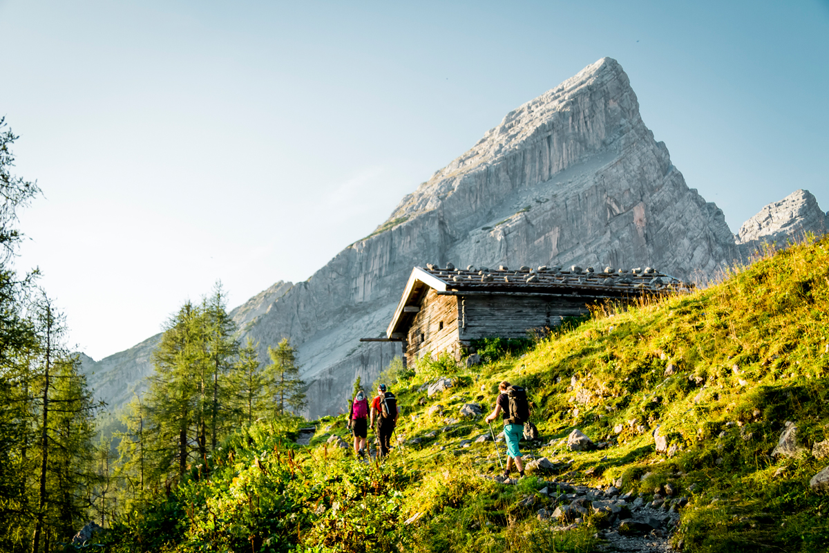 Mit Blick auf den Kleinen Watzmann: Die Falzalm am Weg zum Watzmannhaus