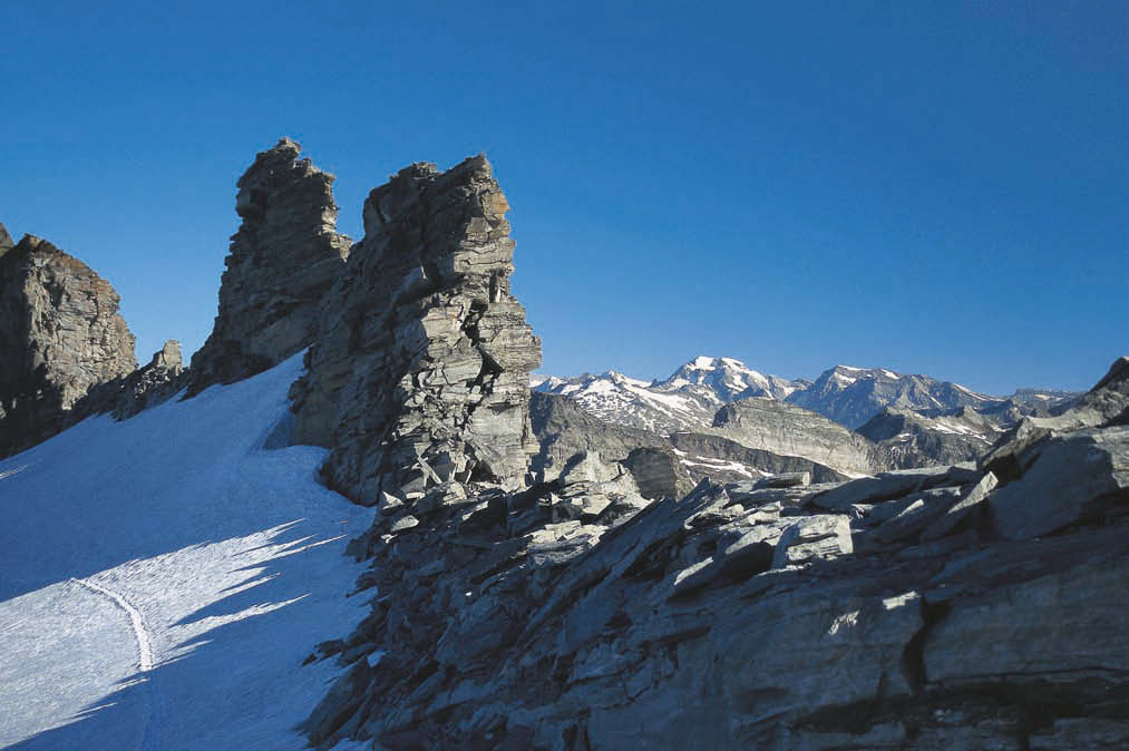 Zackige Gesellen – am Adulajoch auf dem Weg zum Gipfel des Rheinwaldhorns