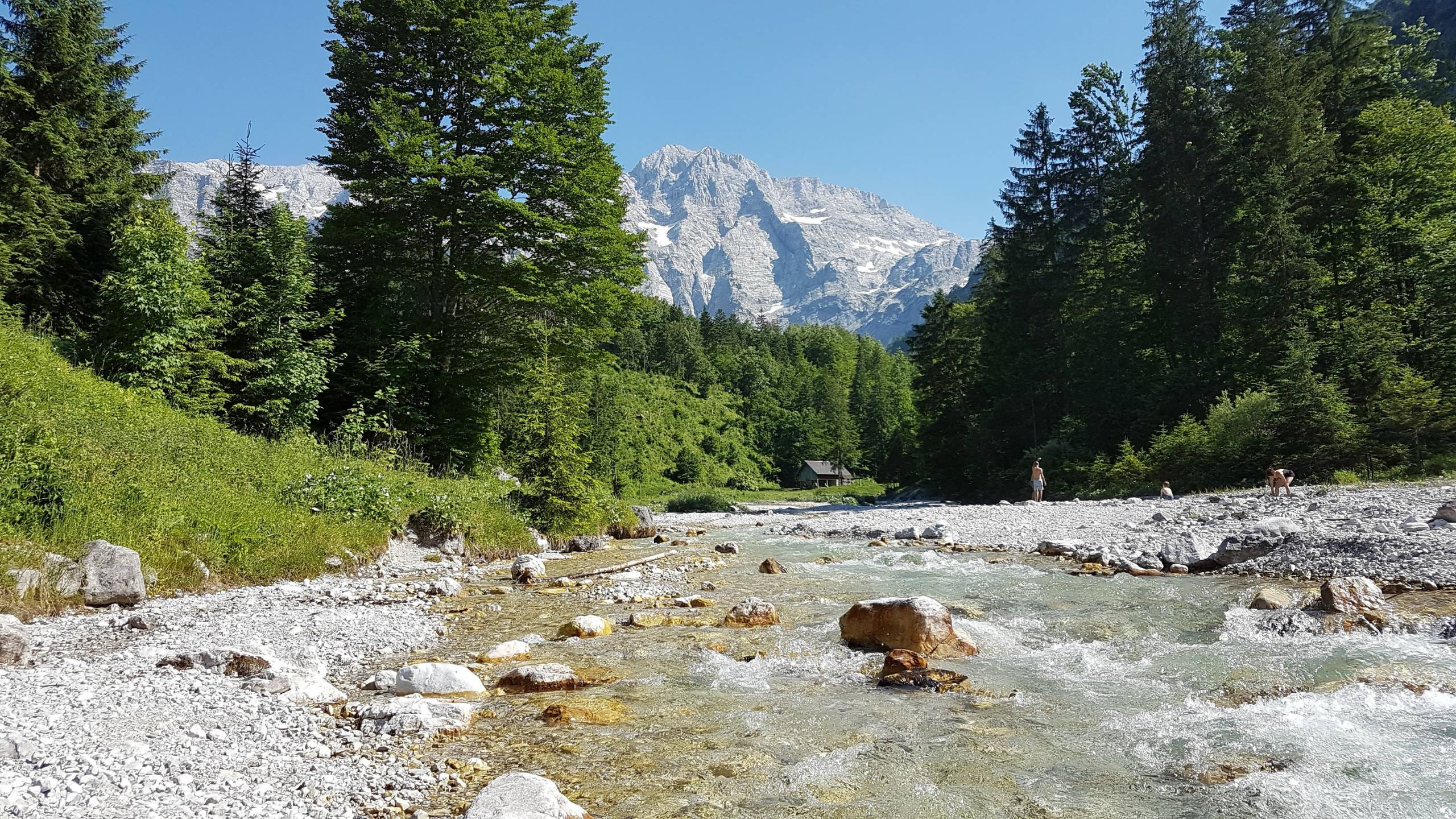 Suchaktion eines vermissten Bergsteigers in Grünau im Almtal (Symbolbild)