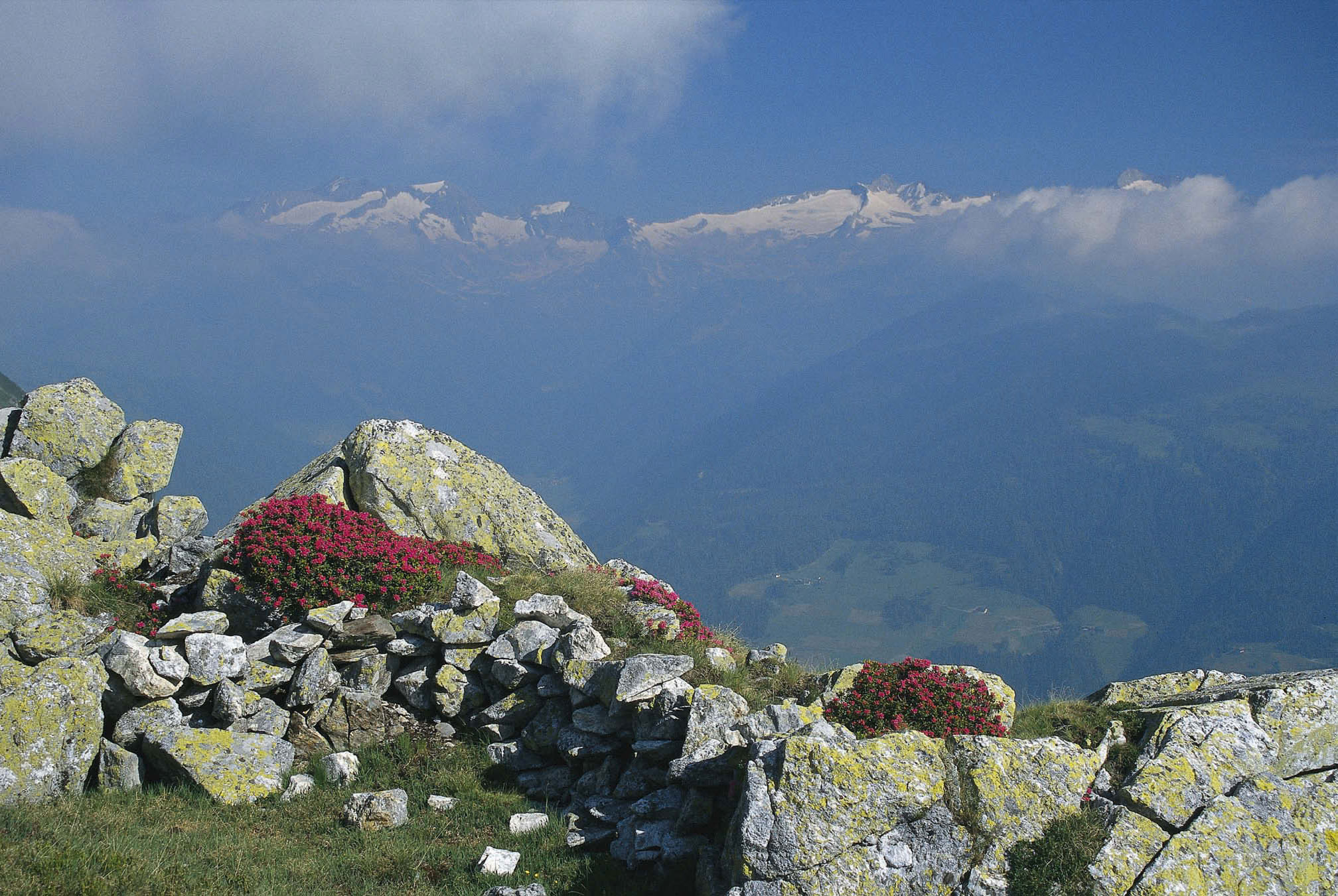 Immer ein Blickfang am Pfunderer Höhenweg: die »Skyline« des Zillertaler Hauptkamms