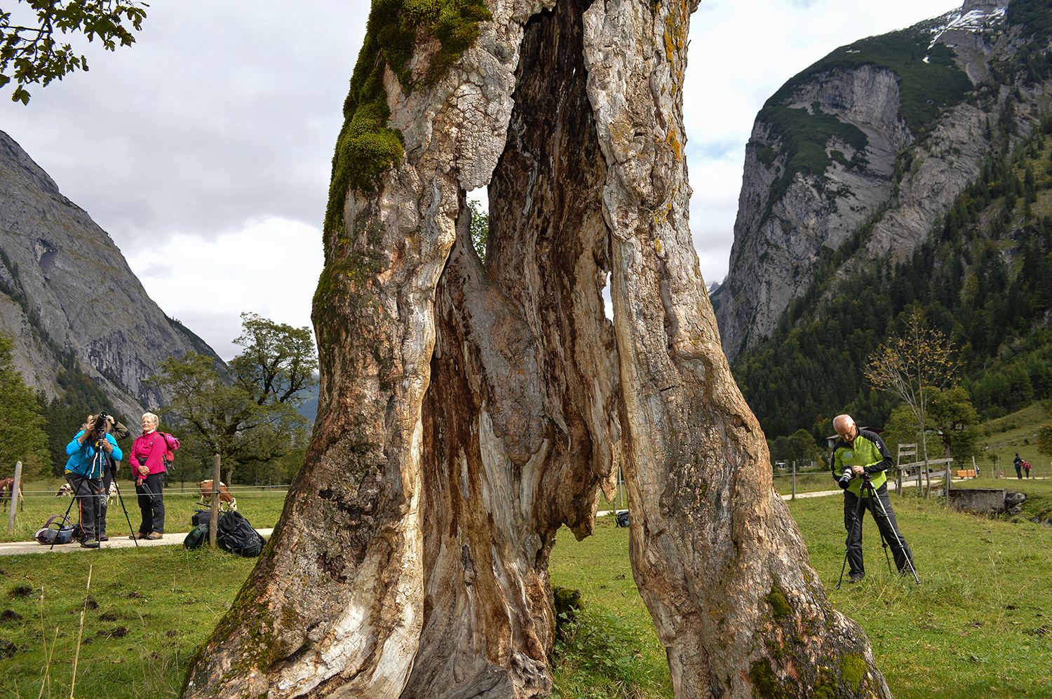 BERGSTEIGER Fototage
