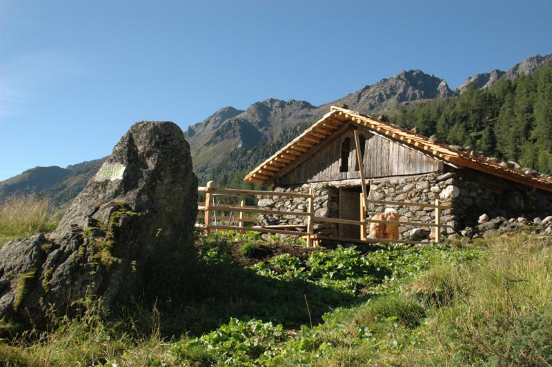 Schobertreck Alm