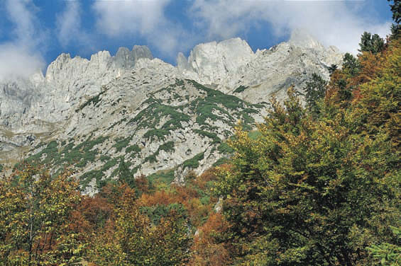 Regalmwand und Regalmspitze vom Gildensteig aus gesehen, in Bildmitte der Daumen