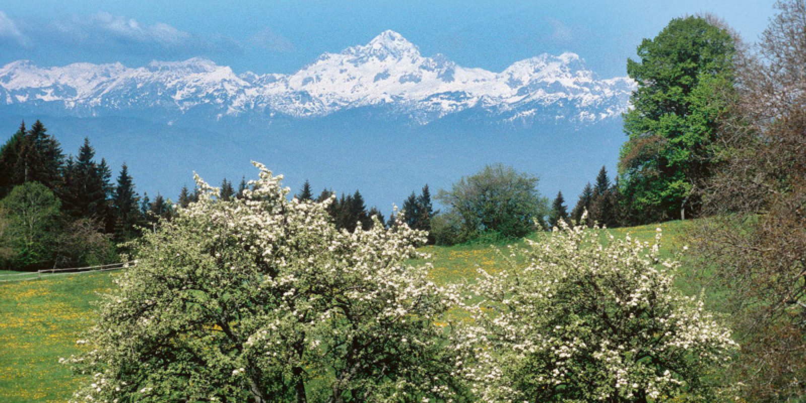 Der Triglav, höchster Gipfel des Landes und Nationalsymbol der Slowenen