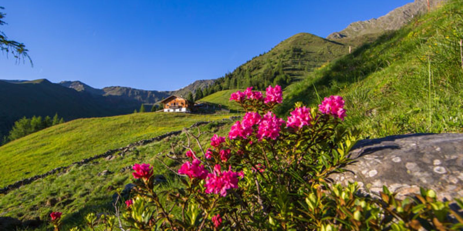 Fans beschreiben das Gieser Tal und seine Landschaft als lieblich. Und das nicht ohne Grund.