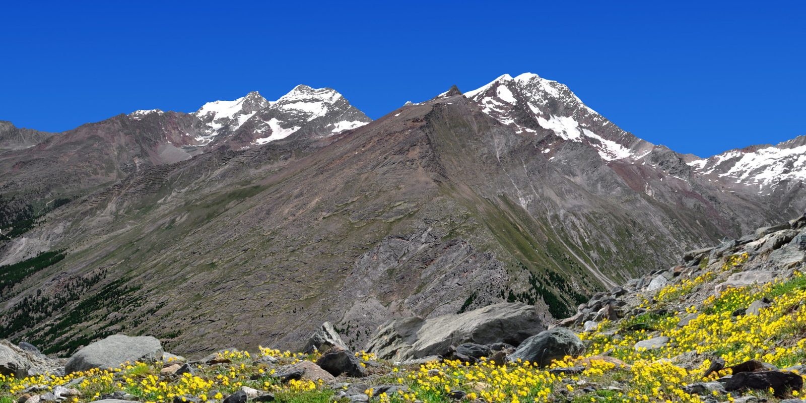 Eine deutsche Bergsteigerin ist am Lagginhorn in der Schweiz tödlich verunglückt.