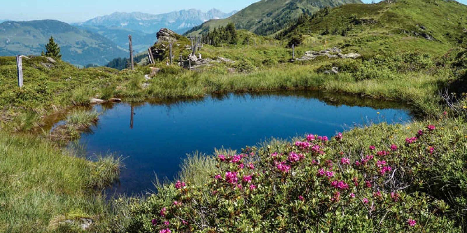 Kaiserliche Aussicht: Den Wilden Kaiser im Blick auf Etappe 3 des KAT Walk Alpin