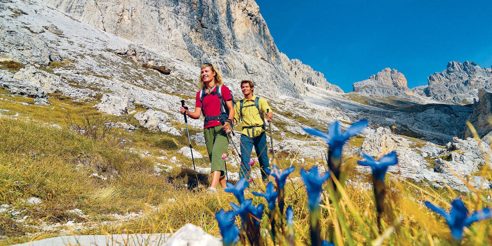 Kontrastreiches Wandern durch Blumenwiesen und Felslandschaft : Die Dolomiten wurden 2009 zum UNESCO-Weltnaturerbe erklärt.