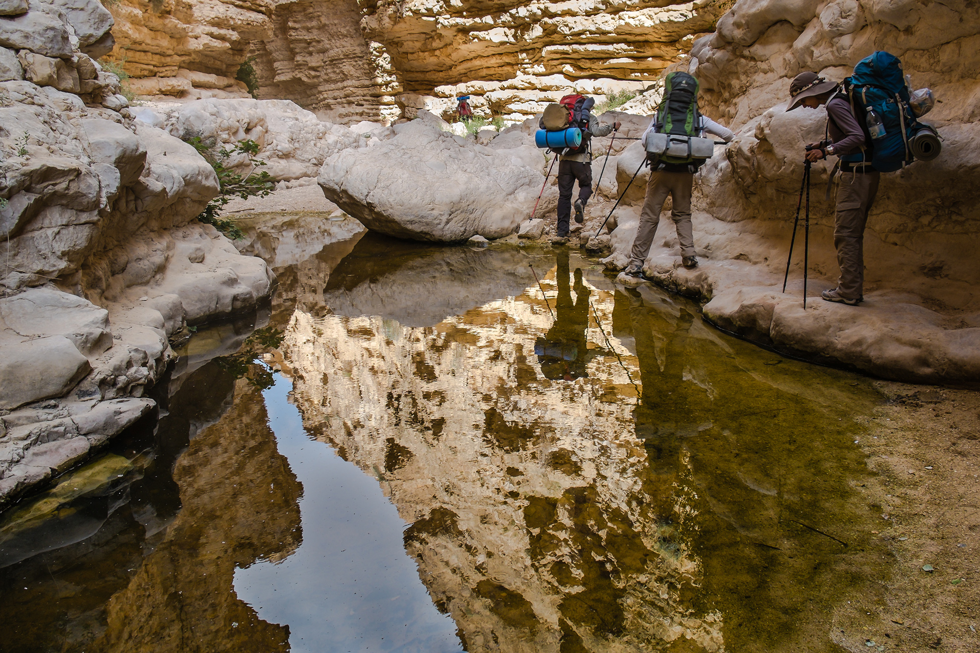 Im Nahal Hava Canyon: Wasser in der Wüste ist eine willkommene Ausnahme.